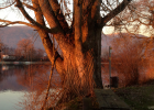 Bildschirmfoto 2015 05 18 um 14.46.31
